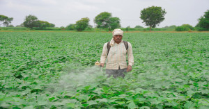 Government’s Subsidy Package Ensures Ample Urea and DAP Supply for Kharif 2025