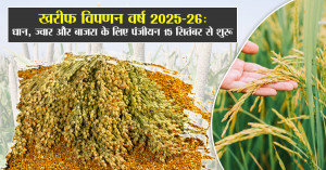 खरीफ विपणन वर्ष 2025-26: धान, ज्वार और बाजरा के लिए पंजीयन 15 सितंबर से शुरू