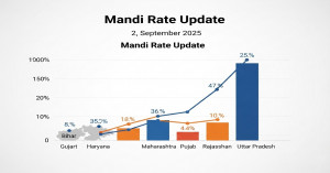 Today’s Potato Prices: Rates Touch ₹3,500 Quintal Ahead of Festive Season – Check Mandi-Wise Report
