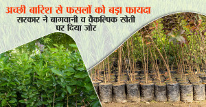 अच्छी बारिश से फसलों को बड़ा फायदा, सरकार ने बागवानी व वैकल्पिक खेती पर दिया जोर