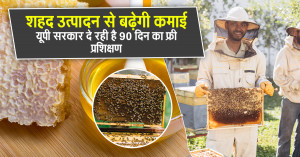 Government to Provide 3-Month Free Beekeeping Training