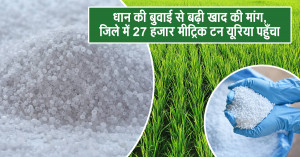 Rising Demand from Paddy Sowing: 27,000 Metric Tonnes of Urea Supplied to Satna District