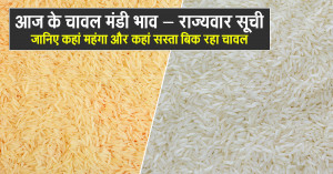 17 September 2025  Know Where Rice is Selling Expensively and Where Prices are Low