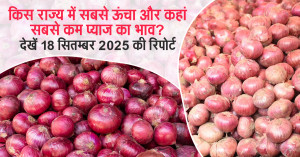 Onion Market Report (18 September, 2025): Where Prices Hit Highs and Where They Crashed