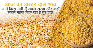 Arhar dal rate today: आज का अरहर दाल भाव: जानें किस मंडी में सबसे सस्ता और कहाँ सबसे महंगा बिक रहा है तूर दाल