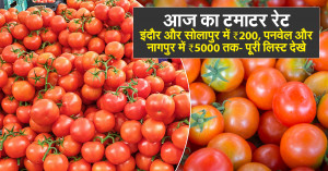 Tomato rate today: आज का टमाटर रेट – इंदौर और सोलापुर में ₹200, पनवेल और नागपुर में ₹5000 तक - पूरी लिस्ट देखे