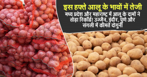 Potato rate today: इस हफ्ते आलू के भावों में तेजी, मध्य प्रदेश और महाराष्ट्र में आलू के दामों ने तोड़ा रिकॉर्ड! उज्जैन, इंदौर, पुणे और संगली में कीमतें दोगुनी
