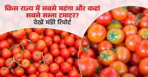 Tomato rate: किस राज्य में सबसे महंगा और कहां सबसे सस्ता टमाटर? देखें 30 सितम्बर, 2025 की मंडी रिपोर्ट