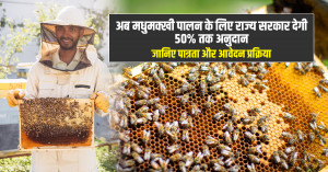Madhumakkhi Palan: खुशखबरी! अब मधुमक्खी पालन के लिए राज्य सरकार देगी पर 50% तक अनुदान, जानिए पात्रता और आवेदन प्रक्रिया