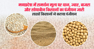 मध्यप्रदेश में समर्थन मूल्य पर धान, ज्वार, बाजरा और सोयाबीन किसानों का पंजीयन जारी, लाखों किसानों ने कराया पंजीयन