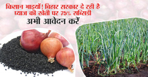 Onion farming: किसान भाइयों! बिहार सरकार दे रही है प्याज की खेती पर 75% सब्सिडी, अभी आवेदन करें