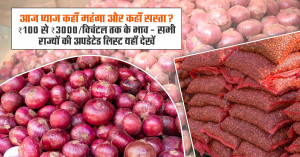 Onion price: आज प्याज कहाँ महंगा और कहाँ सस्ता? ₹100 से ₹3000/क्विंटल तक के भाव - सभी राज्यों की अपडेटेड लिस्ट यहाँ देखें
