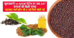 खुशखबरी! e-NAM पोर्टल पर अब 247 फसलों की बिक्री संभव, फटाफट जानें कौन सी 9 नई जिंसें जोड़ी गईं