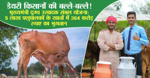 डेयरी किसानों की बल्ले-बल्ले! मुख्यमंत्री दुग्ध उत्पादक संबल योजना: 5 लाख पशुपालकों के खातों में 364 करोड़ रुपए का भुगतान