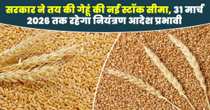 Government Sets New Wheat Stock Limits, Order Effective till March 31, 2026