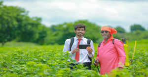 रबी 2025–26 के लिए सरकार ने फॉस्फेटिक और पोटैशिक उर्वरकों पर सब्सिडी दरों को दी मंजूरी