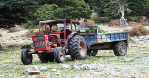 ICAR Develops Animal-Drawn Multi-Crop Planter — A Low-Cost, Sustainable and Farmer-Friendly Innovation