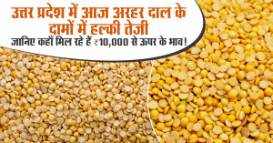 Arhar dal mandi rate: उत्तर प्रदेश में आज अरहर दाल के दामों में हल्की तेजी — जानिए कहाँ मिल रहे हैं ₹10,000 से ऊपर के भाव!