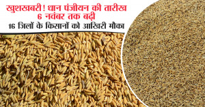 Good News: Paddy registration date extended! Farmers can register again till November 6 — check details now