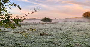 Delhi UP cold weather