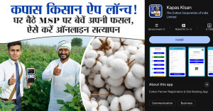 Kapas Kisan App: कपास किसान ऐप लॉन्च! घर बैठे MSP पर बेचें अपनी फसल, ऐसे करें ऑनलाइन सत्यापन