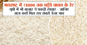 Rice Mandi Bhav Today 04 November, 2025: महाराष्ट्र में ₹6000 तक पहुँचे चावल के रेट, यूपी में भी बाजार ने पकड़ी रफ्तार - जानिए आज कहाँ मिल रहा सबसे ऊँचा भाव