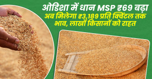 ओडिशा में धान MSP ₹69 बढ़ा, अब मिलेगा ₹3,189 प्रति क्विंटल तक भाव, लाखों किसानों को राहत