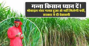 Sugarcane Slips 2025-26: UP government orders! Slips will be sent via SMS only, so do this immediately