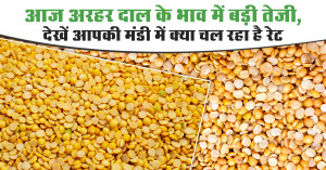 Arhar Price Today: Strong Surge in Tur Dal Rates — Check What Your Mandi is Reporting