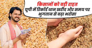 Major Relief for Farmers: Record Paddy Procurement in UP Boosts Confidence with Timely Payments