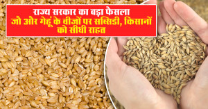 राज्य सरकार का बड़ा फैसला: जौ और गेहूं के बीजों पर सब्सिडी, किसानों को सीधी राहत