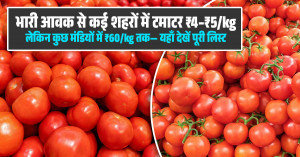 Tomato Price Today: भारी आवक से कई शहरों में टमाटर ₹4–₹5/kg, लेकिन कुछ मंडियों में ₹60/kg तक— यहाँ देखें पूरी लिस्ट