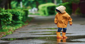 South India on Heavy Rain Alert, Cold Intensifies in North India - IMD Issues Major Weather Update