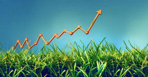 Uttar Pradesh agriculture has seen a surge! Farmers' hard work has paid off, with yields increasing by 42.8%.