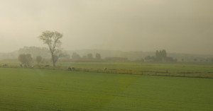 Delhi-NCR Air Quality Update: Pollution Rises with Winter Chill, but Long-Term Trends Show Improvement