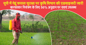 Wheat farming: यूपी में गेहूं फसल सुरक्षा पर कृषि विभाग की एडवाइजरी जारी, खरपतवार नियंत्रण के लिए 50% अनुदान पर दवाएं उपलब्ध