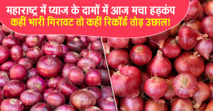Maharashtra Onion Prices See Extreme Volatility Today - Heavy Falls in Some Markets, Record Highs in Others!