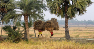 आज का मौसम अपडेट