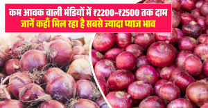 Onion Price Today: Prices Touch ₹2,200–₹2,500 in Low-Arrival Markets — Check Where Farmers Are Getting the Best Rates