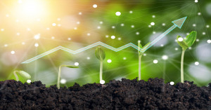 Rabi Sowing Crosses 47.9 Million Hectares; Pulses, Oilseeds and Nutri-Cereals Show Strong Growth