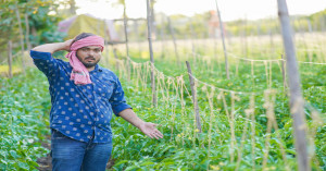 North India Faces Severe Cold Wave, Fog and Frost Alert in UP, MP & Maharashtra