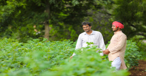 Organic Farming Gains Momentum: Cluster Model and Key National Schemes Boost Farmers’ Income