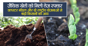 जैविक खेती को मिली तेज रफ्तार: क्लस्टर मॉडल और दो राष्ट्रीय योजनाओं से बढ़ी किसानों की आय