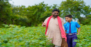 Bihar govt announces 50% subsidy for new nurseries under Agroforestry Scheme 2025–26