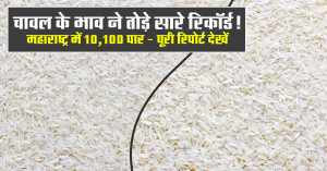 Maharashtra Rice Market Rate Today: Maharashtra Hits Record Levels – 1009 Varieties Cross ₹10,100!