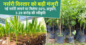 Bihar govt announces 50% subsidy for new nurseries under Agroforestry Scheme 2025–26