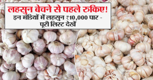 Garlic market rate today: Wait Before Selling! Garlic Crosses ₹10,000 in These Mandis — Full List Inside