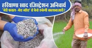 हरियाणा खाद रजिस्ट्रेशन अनिवार्य: ‘मेरी फसल–मेरा ब्यौरा’ से कैसे रुकेगी कालाबाजारी?