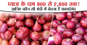 Pyaj ka bhav: प्याज के दाम 800 से 2,800 तक! जानिए कौन सी मंडी में बेचना है फायदेमंद