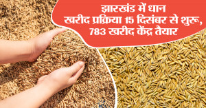 झारखंड में धान खरीद प्रक्रिया 15 दिसंबर से शुरू, 783 खरीद केंद्र तैयार